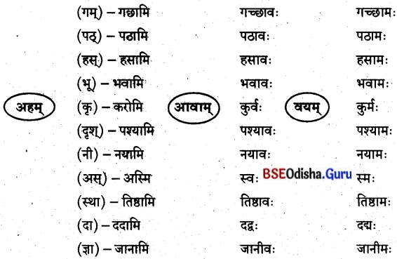 BSE Odisha 8th Class Sanskrit Solutions Chapter 9 ବିଚିତ୍ରା ସୃଷ୍ଟି 7