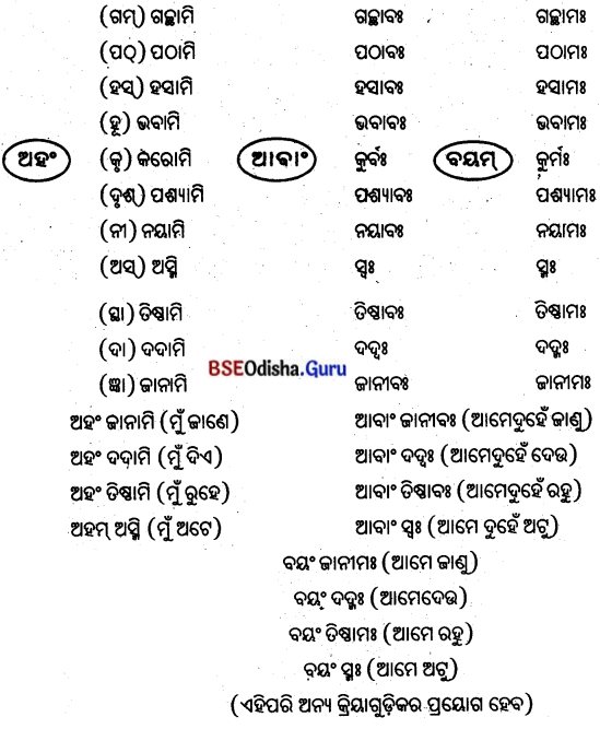 BSE Odisha 8th Class Sanskrit Solutions Chapter 9 ବିଚିତ୍ରା ସୃଷ୍ଟି 8