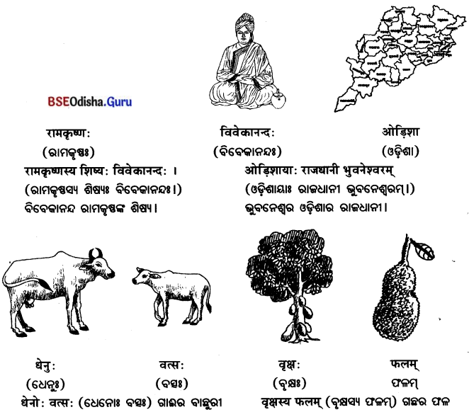 BSE Odisha 7th Class Sanskrit Solutions Chapter 15 ଷଷ୍ଠୀବିଭକ୍ତିପ୍ରୟୋଗଃ 4