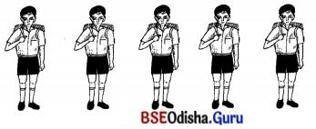 BSE Odisha 7th Class Sanskrit Solutions Chapter 6 ପୂରଣବାଚକଶବ୍ଦାଃ 13