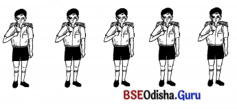 BSE Odisha 7th Class Sanskrit Solutions Chapter 6 ପୂରଣବାଚକଶବ୍ଦାଃ 17