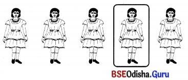 BSE Odisha 7th Class Sanskrit Solutions Chapter 6 ପୂରଣବାଚକଶବ୍ଦାଃ 51