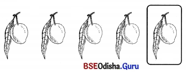 BSE Odisha 7th Class Sanskrit Solutions Chapter 6 ପୂରଣବାଚକଶବ୍ଦାଃ 75
