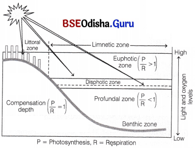 CHSE Odisha Class 12 Biology Solutions Chapter 14 Organisms and Environment 15