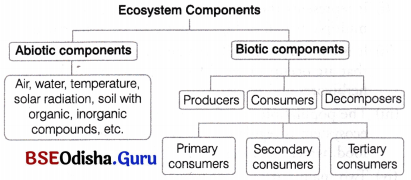 CHSE Odisha Class 12 Biology Solutions Chapter 15 Ecosystem 2