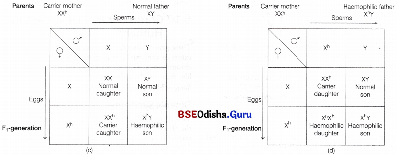 CHSE Odisha Class 12 Biology Solutions Chapter 6 Sex Determination 9