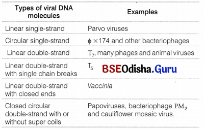 CHSE Odisha Class 12 Biology Solutions Chapter 7 Molecular Basis of Inheritance 7