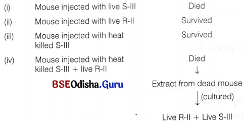 CHSE Odisha Class 12 Biology Solutions Chapter 7 Molecular Basis of Inheritance 9