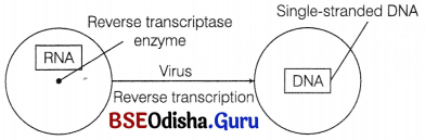 CHSE Odisha Class 12 Biology Solutions Chapter 9 Health and Diseases 1