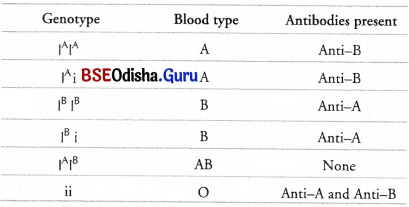 CHSE Odisha Class 12 Biology Important Questions Chapter 5 Heredity and Variation 13