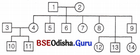 CHSE Odisha Class 12 Biology Important Questions Chapter 6 Sex Determination 8