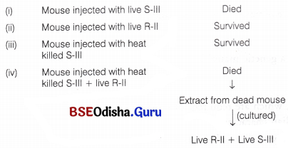CHSE Odisha Class 12 Biology Important Questions Chapter 7 Molecular Basis of Inheritance 8