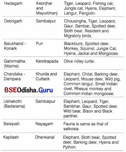 CHSE Odisha Class 12 Biology Solutions Chapter 16 Biodiversity and its Conservation 3