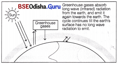 CHSE Odisha Class 12 Biology Solutions Chapter 17 Environmental Issues 1
