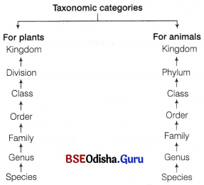 CHSE Odisha Class 11 Biology Solutions Chapter 1 Biodiversity 1