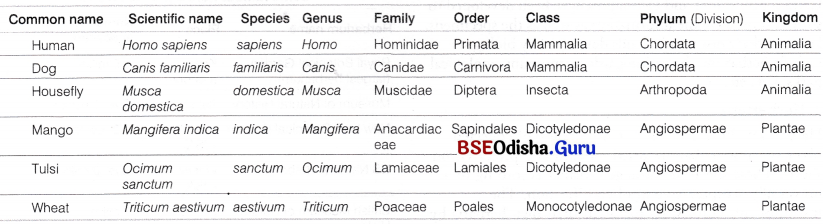 CHSE Odisha Class 11 Biology Solutions Chapter 1 Biodiversity 2