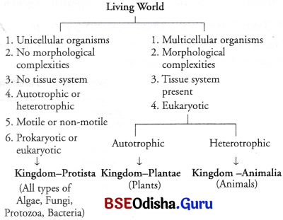 CHSE Odisha Class 11 Biology Solutions Chapter 2 Classification of Living World 2