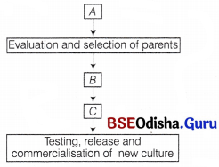 CHSE Odisha Class 12 Biology Important Questions Chapter 10 Improvement in Food Production 1