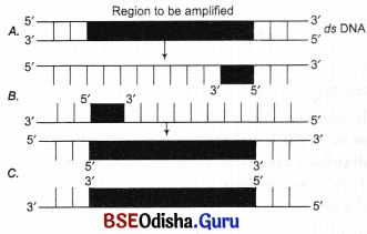 CHSE Odisha Class 12 Biology Important Questions Chapter 12 Principles and Processes of Biotechnology 5