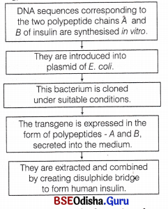 CHSE Odisha Class 12 Biology Important Questions Chapter 13 Applications of Biotechnology 3