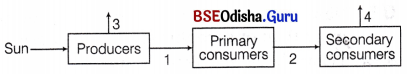 CHSE Odisha Class 12 Biology Important Questions Chapter 15 Ecosystem 2
