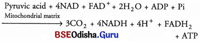 CHSE Odisha Class 11 Biology Solutions Chapter 14 Respiration 5