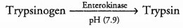 CHSE Odisha Class 11 Biology Solutions Chapter 16 Digestion and Absorption 4