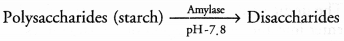 CHSE Odisha Class 11 Biology Solutions Chapter 16 Digestion and Absorption 6
