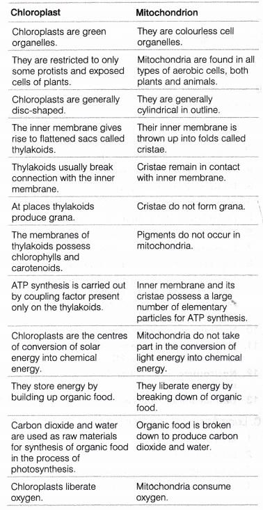 CHSE Odisha Class 11 Biology Solutions Chapter 8 Cell Structure and Function 3