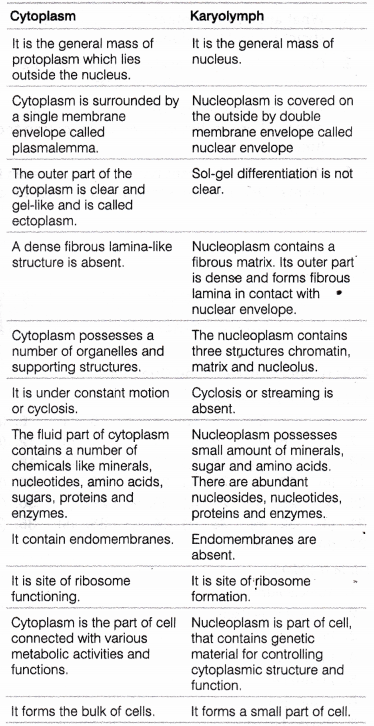 CHSE Odisha Class 11 Biology Solutions Chapter 8 Cell Structure and Function 4