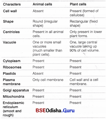 CHSE Odisha Class 11 Biology Solutions Chapter 8 Cell Structure and Function 6