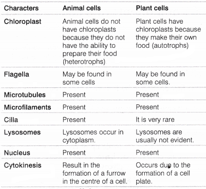 CHSE Odisha Class 11 Biology Solutions Chapter 8 Cell Structure and Function 7