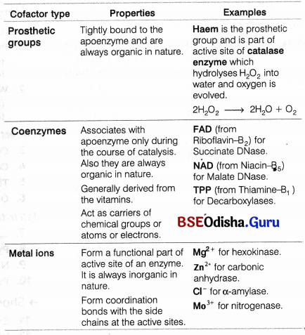 CHSE Odisha Class 11 Biology Solutions Chapter 9 Chemical Constituents of Living Cells 3