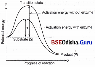 CHSE Odisha Class 11 Biology Solutions Chapter 9 Chemical Constituents of Living Cells 4