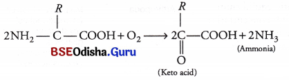CHSE Odisha Class 11 Biology Solutions Chapter 19 Excretory Products and Their Elimination 1