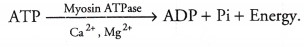 CHSE Odisha Class 11 Biology Solutions Chapter 20 Locomotion and Movement 1