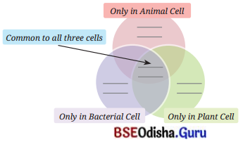 The Invisible Living World Beyond Our Naked Eye Class 8 Question Answer Science Chapter 2.1