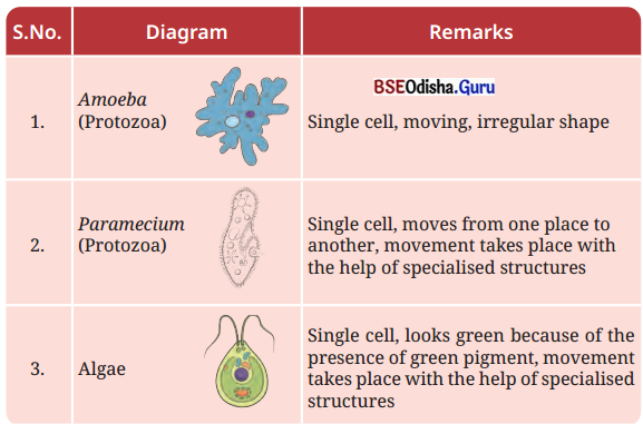 The Invisible Living World Beyond Our Naked Eye Class 8 Question Answer Science Chapter 2.13