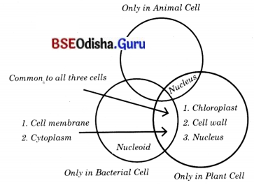 The Invisible Living World Beyond Our Naked Eye Class 8 Question Answer Science Chapter 2.2