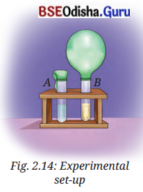 The Invisible Living World Beyond Our Naked Eye Class 8 Question Answer Science Chapter 2.3