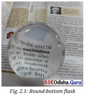 The Invisible Living World Beyond Our Naked Eye Class 8 Question Answer Science Chapter 2.5