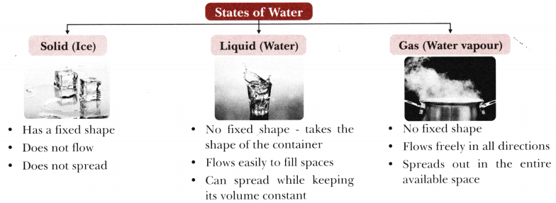 A Journey through States of Water Class 6 Notes Science Chapter 8 1