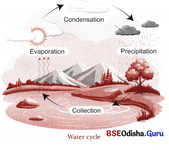 A Journey through States of Water Class 6 Notes Science Chapter 8 5