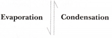 A Journey through States of Water Class 6 Notes Science Chapter 8 7