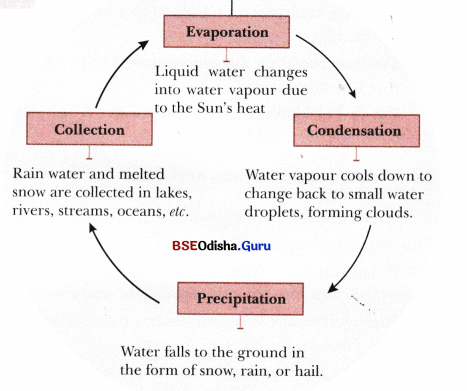 A Journey through States of Water Class 6 Notes Science Chapter 8 8