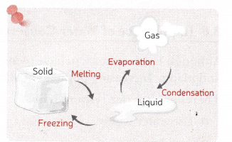 A Journey through States of Water Class 6 Notes Science Chapter 8 9