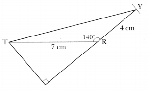 A Tale of Three Intersecting Lines Class 7 Solutions Maths Ganita Prakash Chapter 7 10