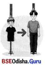 Adolescence A Stage of Growth and Change Class 7 Extra Questions and Answers Science Chapter 6.2