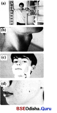 Adolescence A Stage of Growth and Change Class 7 Notes Science Chapter 6 2