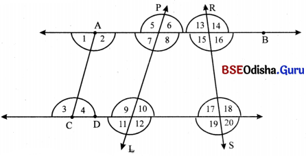 Class 6 Maths Chapter 2 Question Answer Odia Medium ରେଖା ଓ କୋଣ Page 49 Q1.1